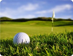 Kuchynské prestieranie - GOLF