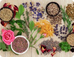 Kuchynské prestieranie - HERBAL