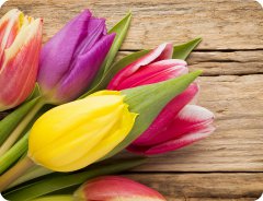 Kuchynské prestieranie - TULIPÁNY